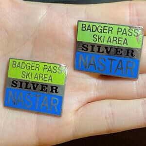 Vintage Badger Pass Ski Area Yosemite Silver Nastar pins lot 2 pinback souvenir
